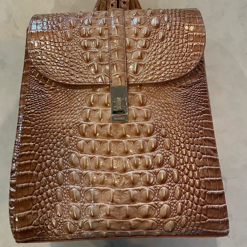 Woman’s Brahmin Backpack